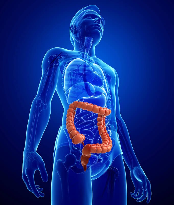 Leaky Gut Treatment
