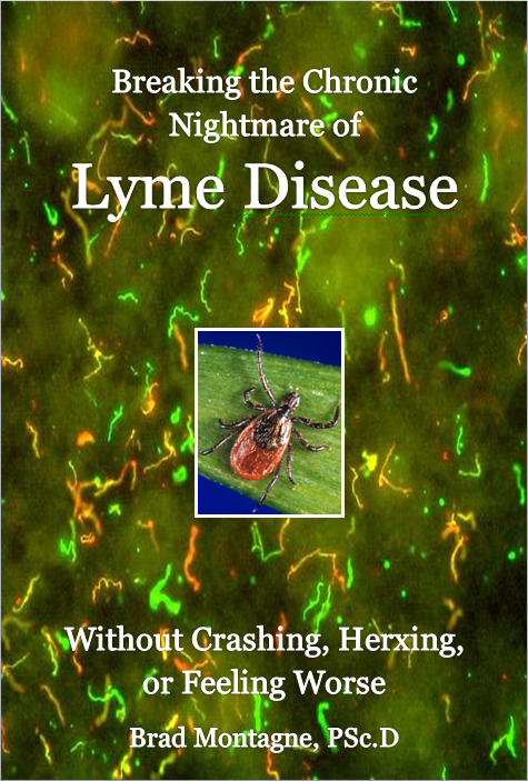 Lyme Disease Treatment Leicester, Nc
