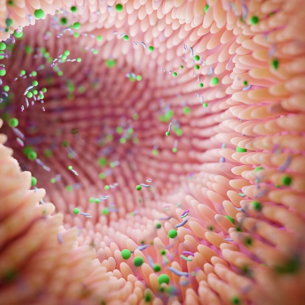 Microbiome Imbalance What Can Throw Your Gut Microbiome Off Balance?