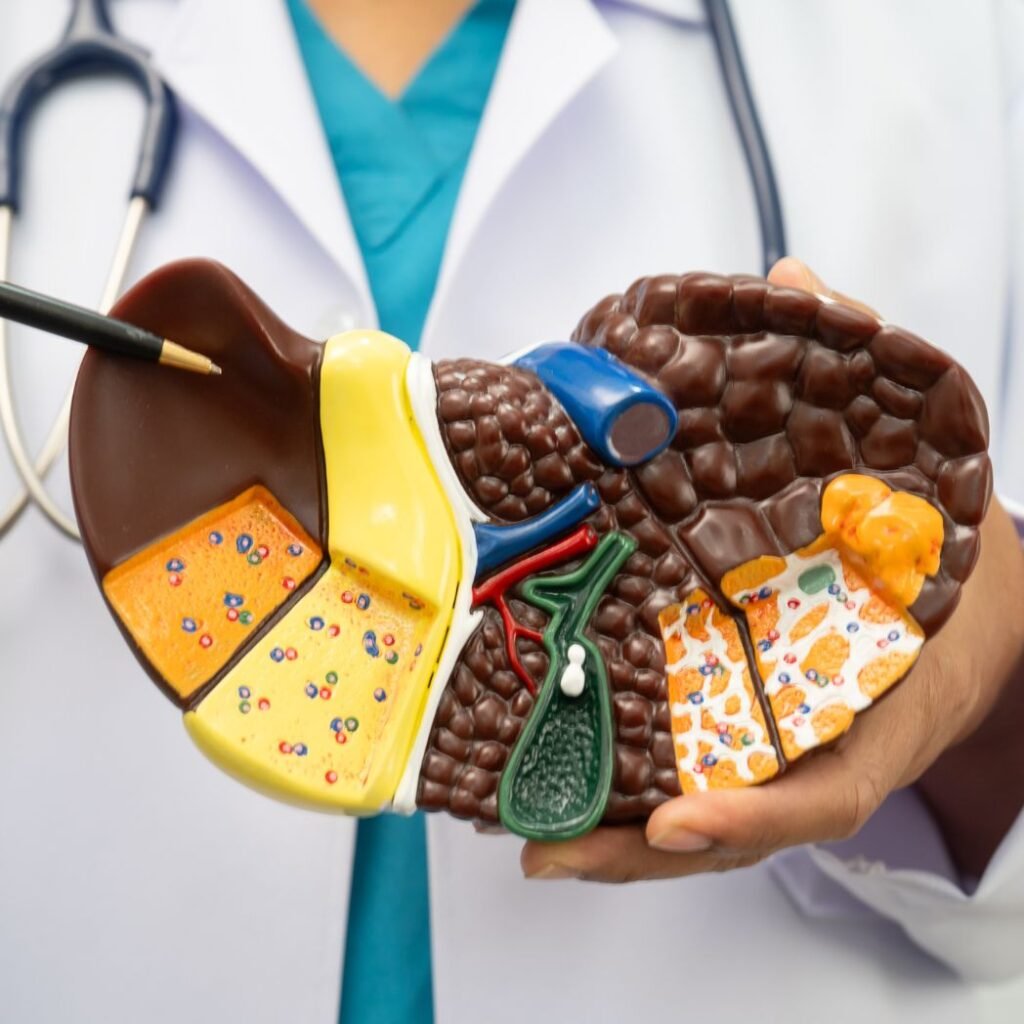 doctor show the liver detox in this image