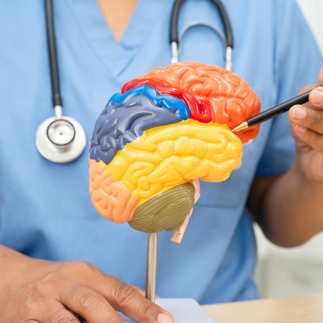 The person in this image show Nervous System Regulation Skills through brain particle