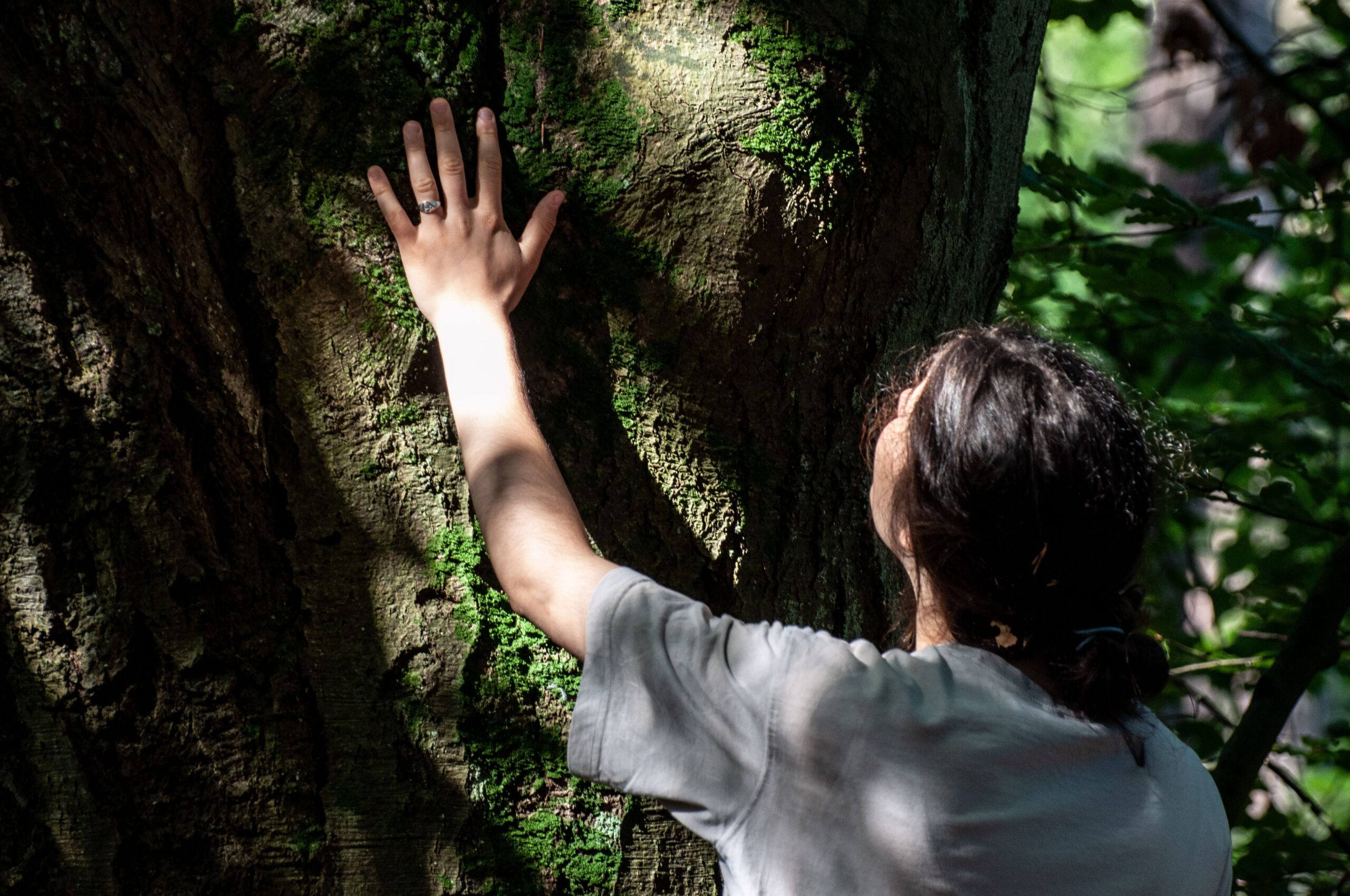 Nature-based healing therapy promoting stress reduction and mental wellness